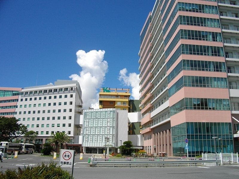 Kameda Medical Hospital